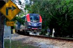 335 - Amtrak Silver Meteor